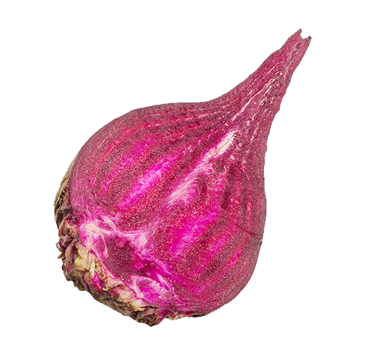 Beet info-b