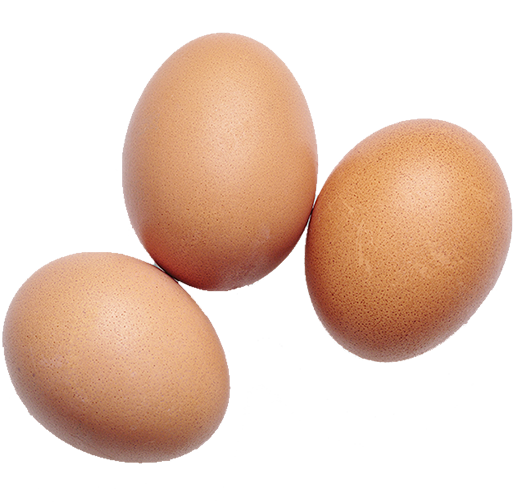 Eggs info-e
